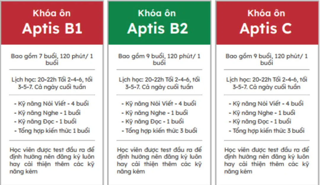 Quy trình ôn luyện Aptis